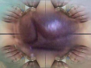 pussis를위한 물고기 사료