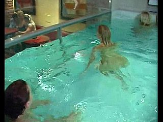 pool turtle-dove party
