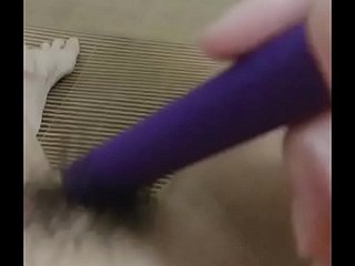甜美年轻的中国猫 P2