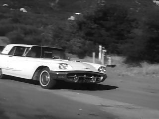 İşkence dişiler (1965)
