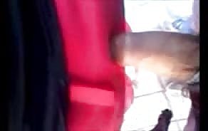 porno videos bushalte